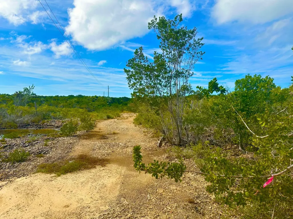 Eleuth Kemp's Creek Lot#3 Eleuthera BS