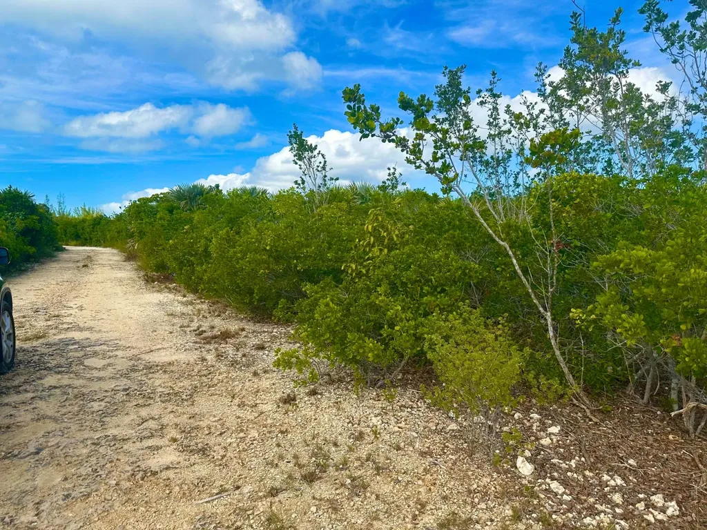 Eleuth Kemp's Creek Lot#3 Eleuthera BS