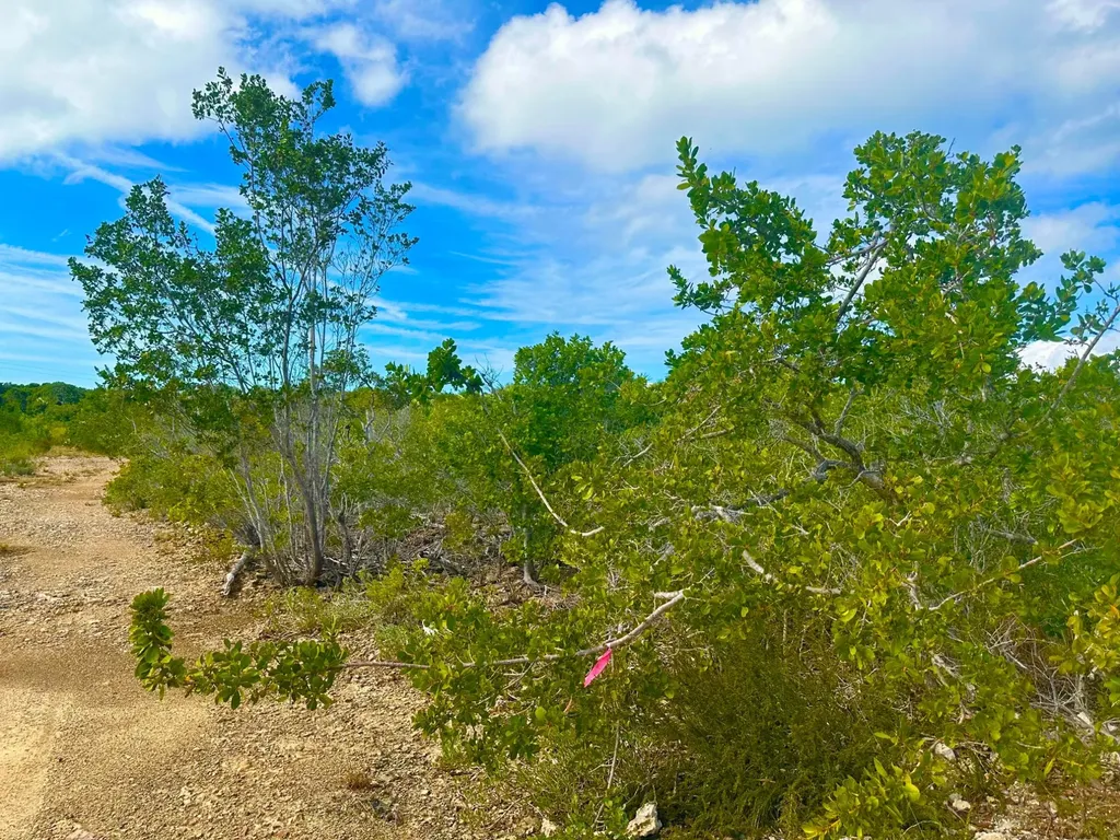 Eleuth Kemp's Creek Lot#3 Eleuthera BS