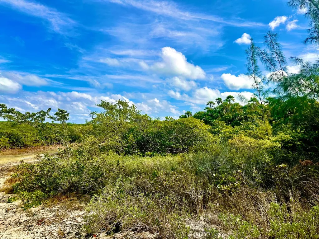 Eleuth Kemp's Creek Lot#2 Eleuthera BS