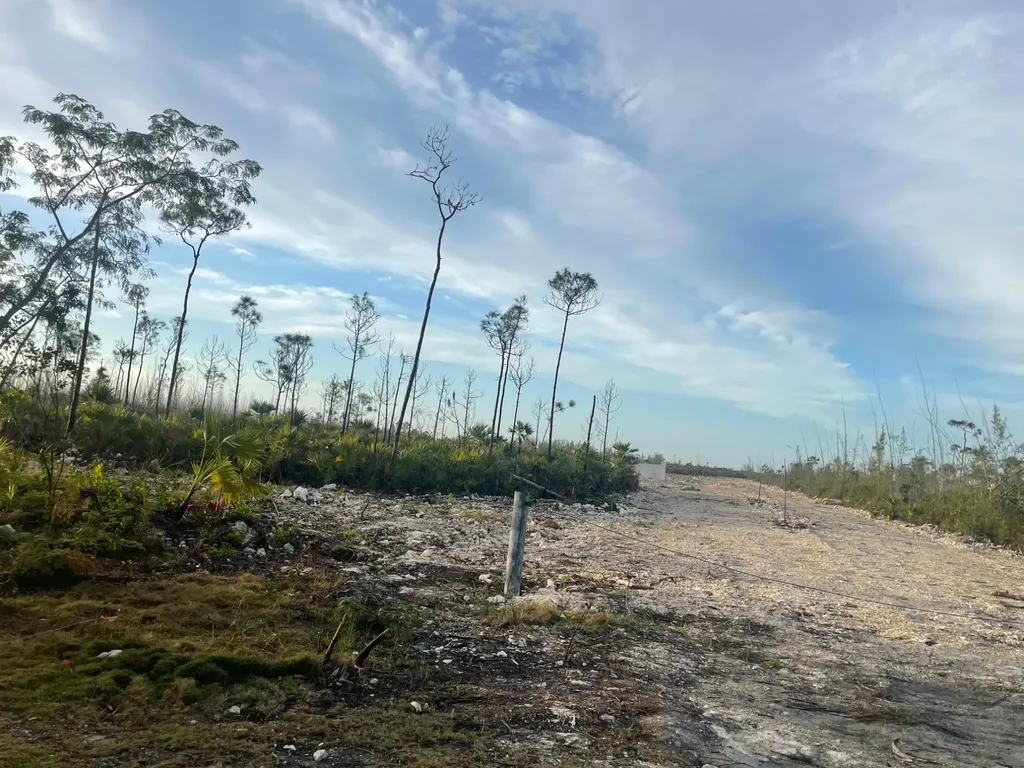 Munnings Road 6 New Providence Paradise Island BS