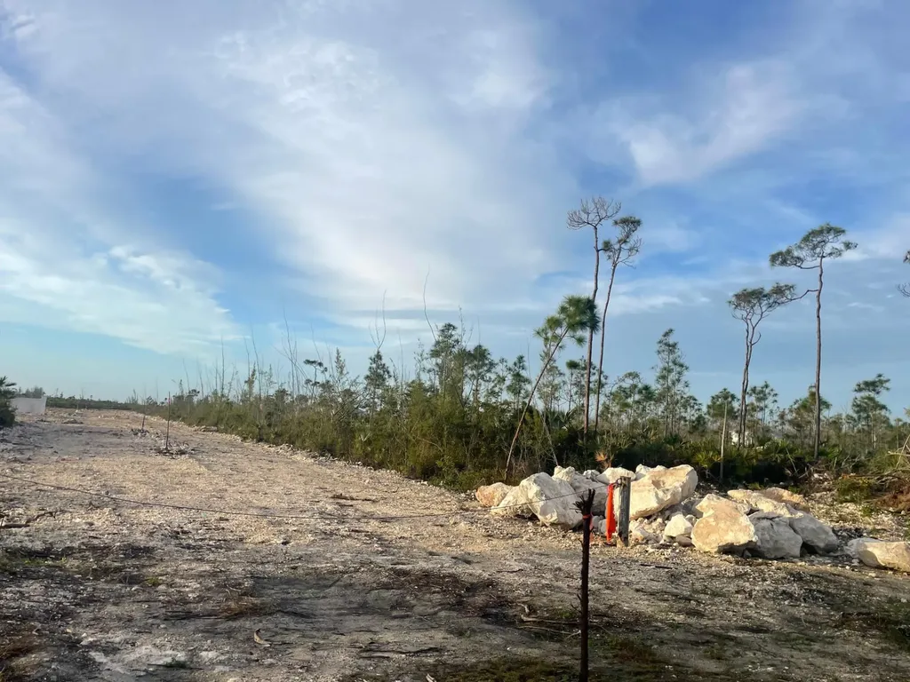 Munnings Road 5 New Providence Paradise Island BS