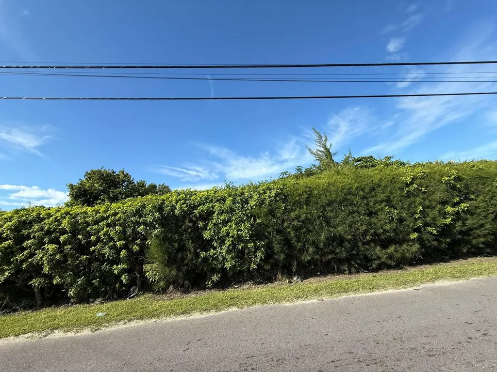 Palm Breeze Drive N.p. New Providence Paradise Island BS