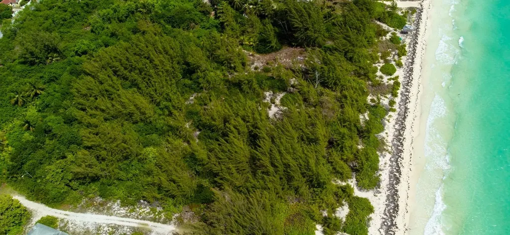 Kemp's Bay Andros BS