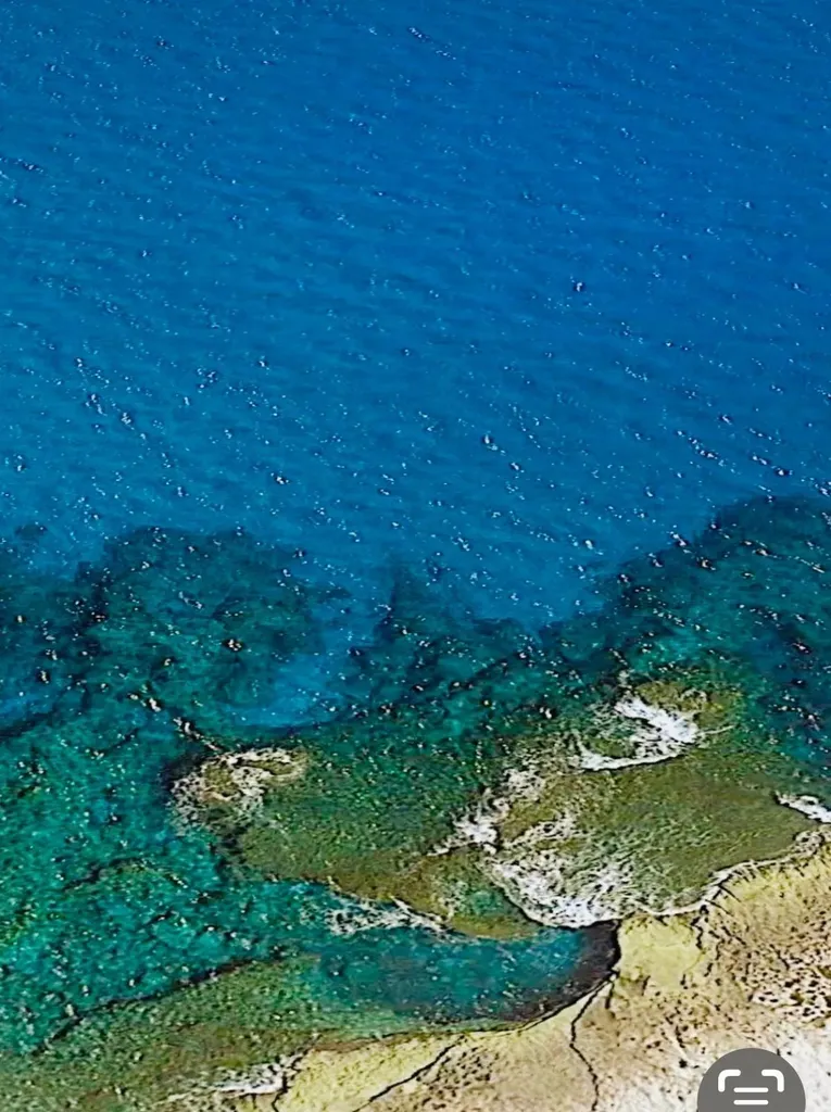 Simms Long Island BS