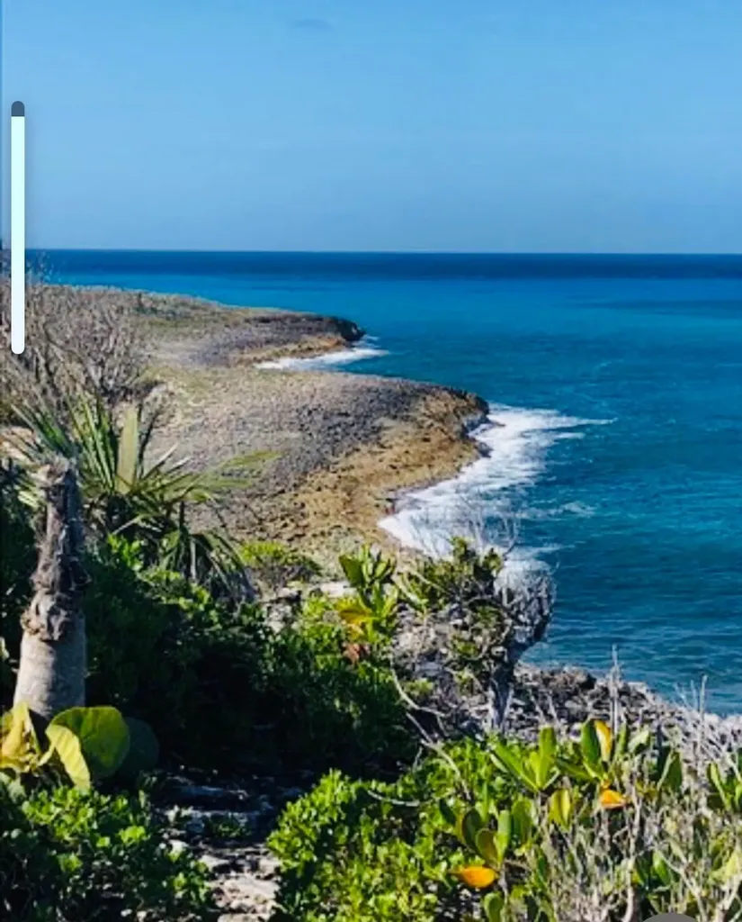 Simms Long Island BS