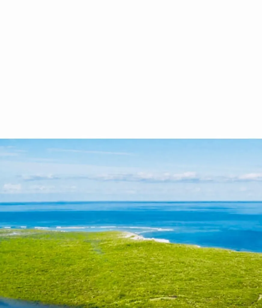 Simms Long Island BS