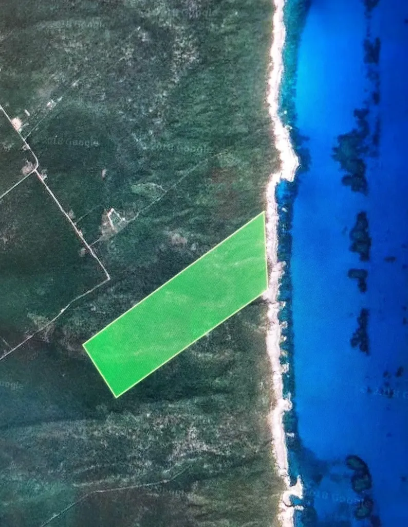 Simms Long Island BS