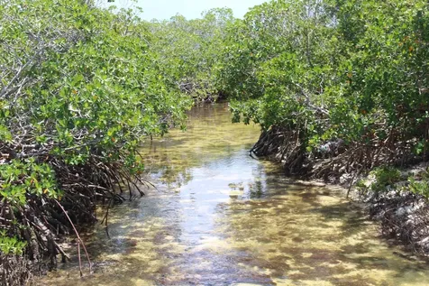 Cherokee Sound 74 Abaco BS