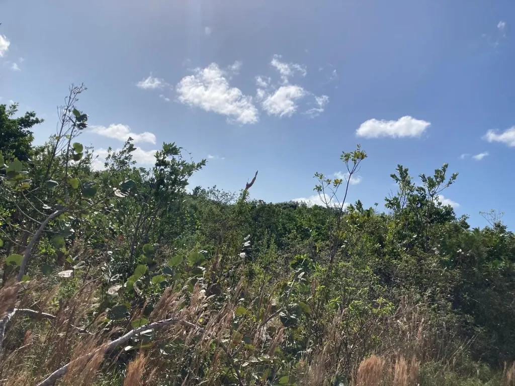 Deep Creek East Andros BS