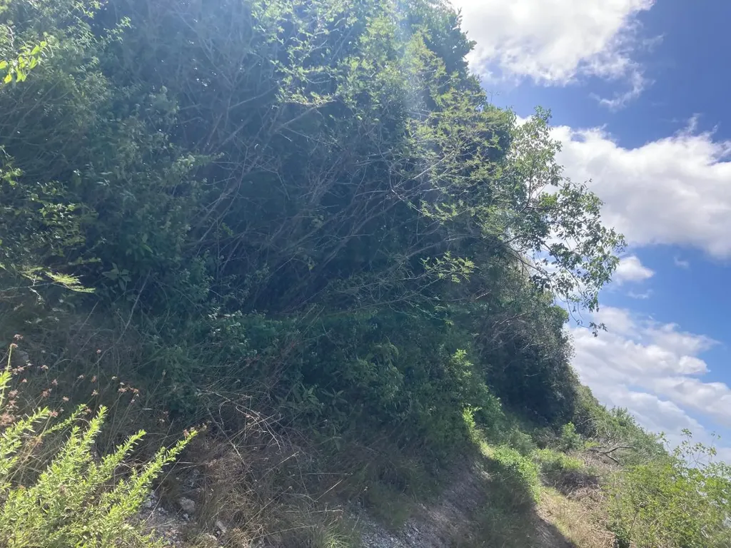 Deep Creek East Andros BS