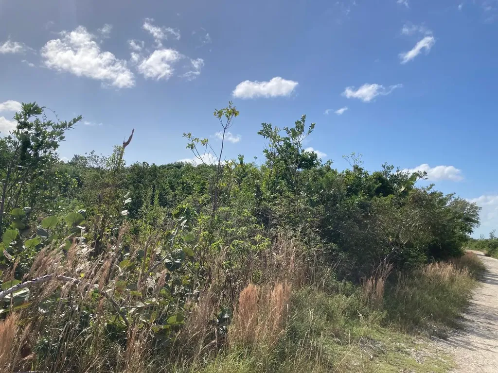 Deep Creek East Andros BS