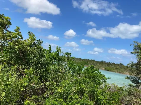 Deep Creek East Andros BS