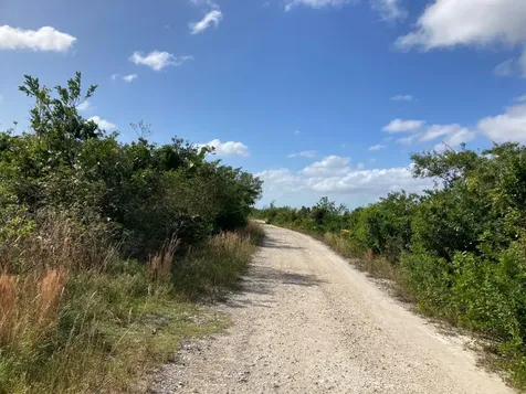 Deep Creek East Andros BS