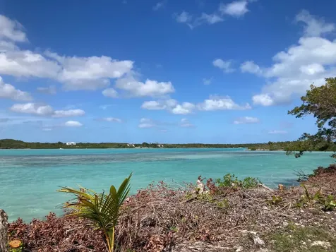 Deep Creek East Andros BS
