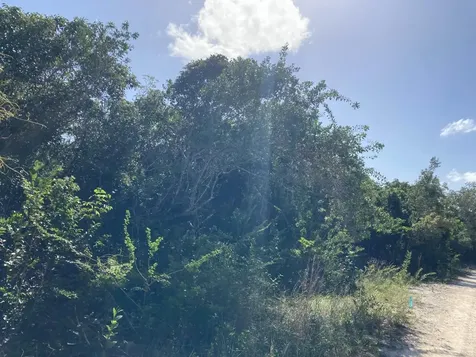 Deep Creek East Andros BS