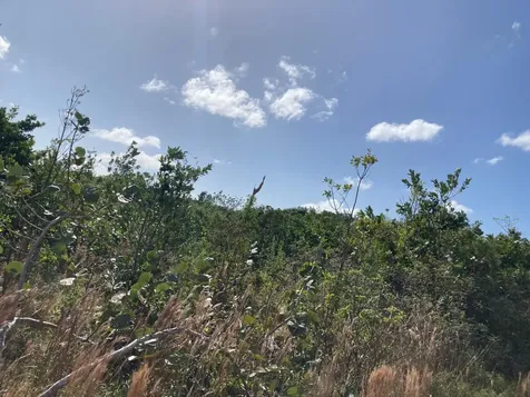 Deep Creek East Andros BS