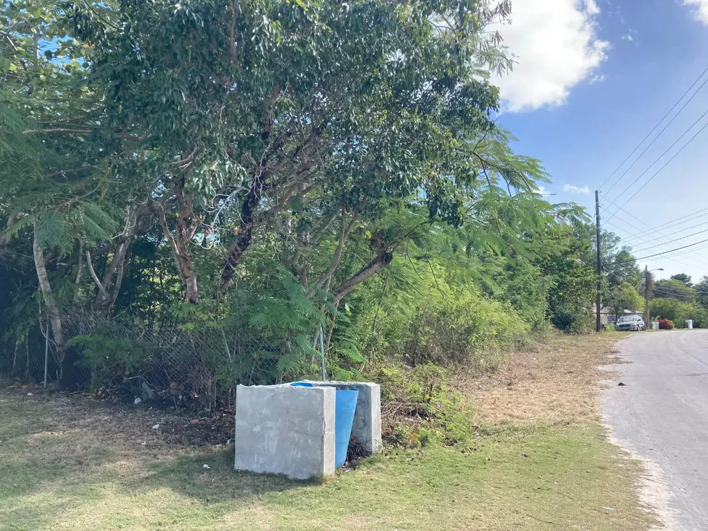 Johnson Road Bay Andros BS