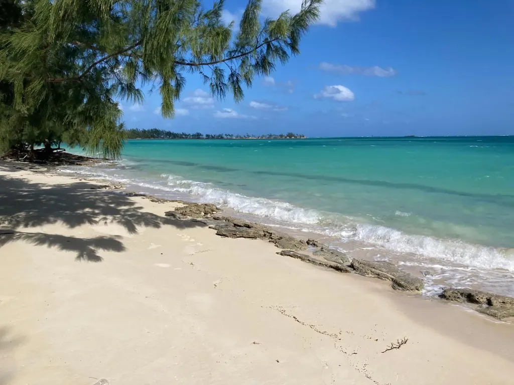 Johnson Road Bay Andros BS