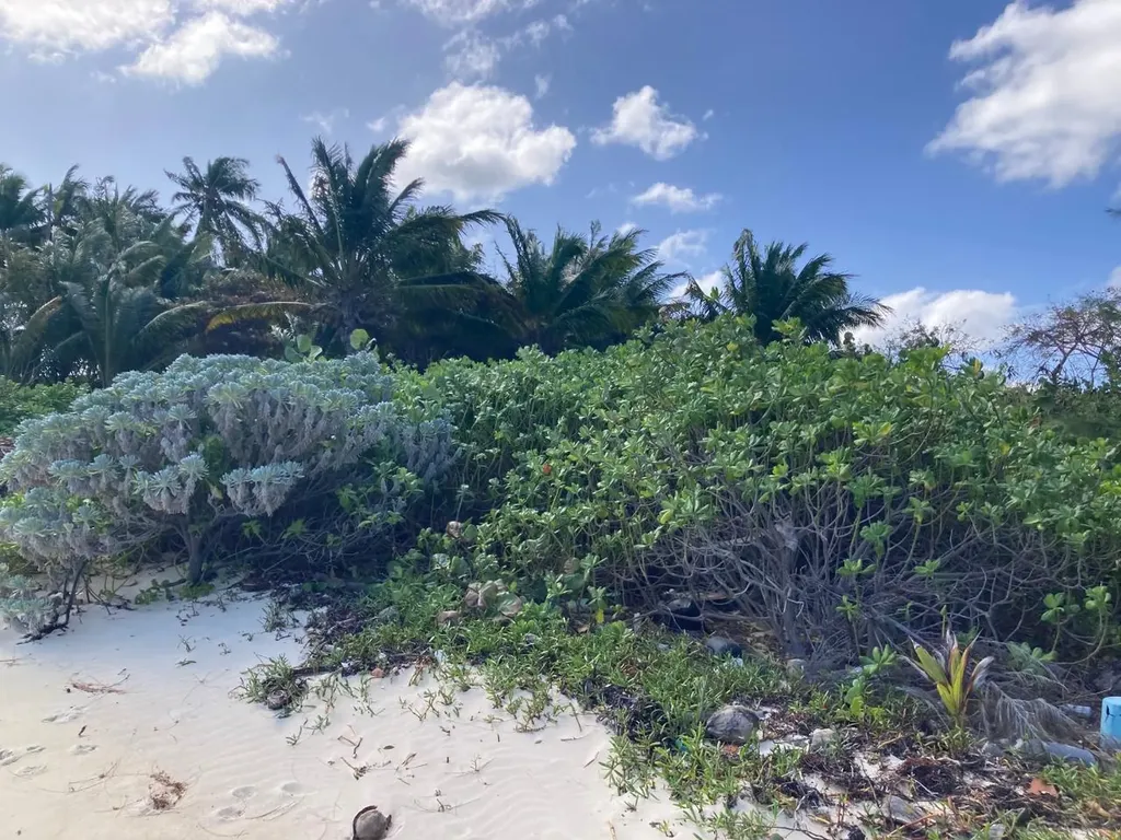 Johnson Road Bay Andros BS