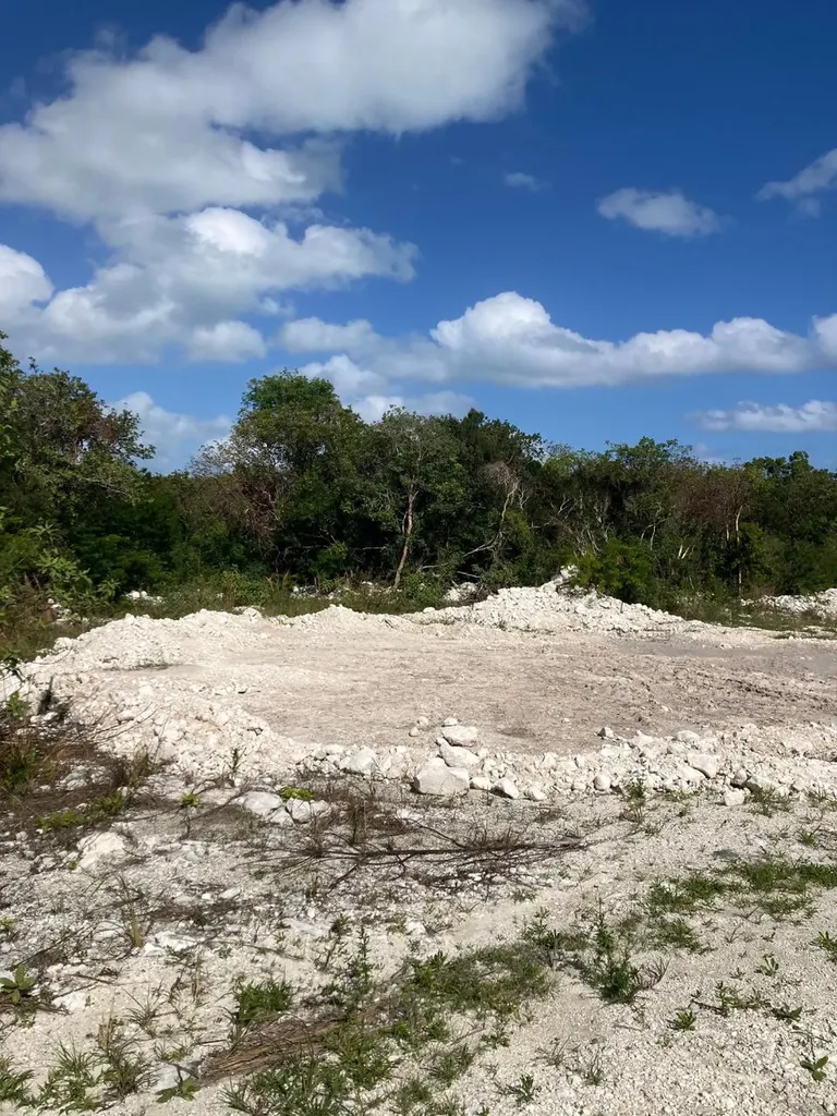 Wellfield Street Andros BS