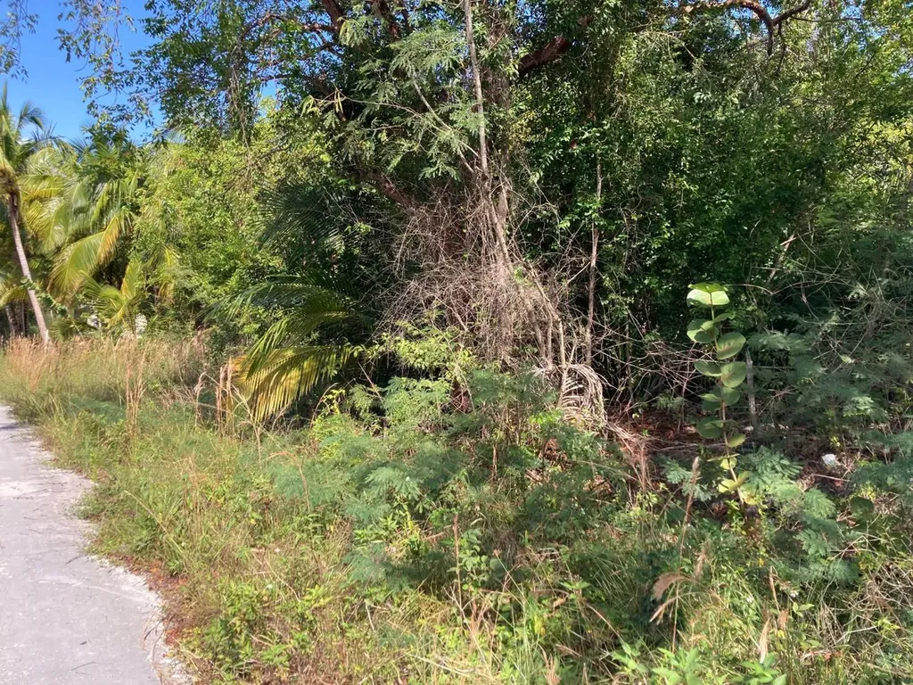 Pleasant Bay West Andros BS