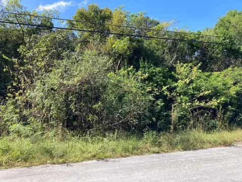 Pleasant Bay West Andros BS