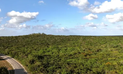 Queen's Highway, Savannah Eleuthera BS