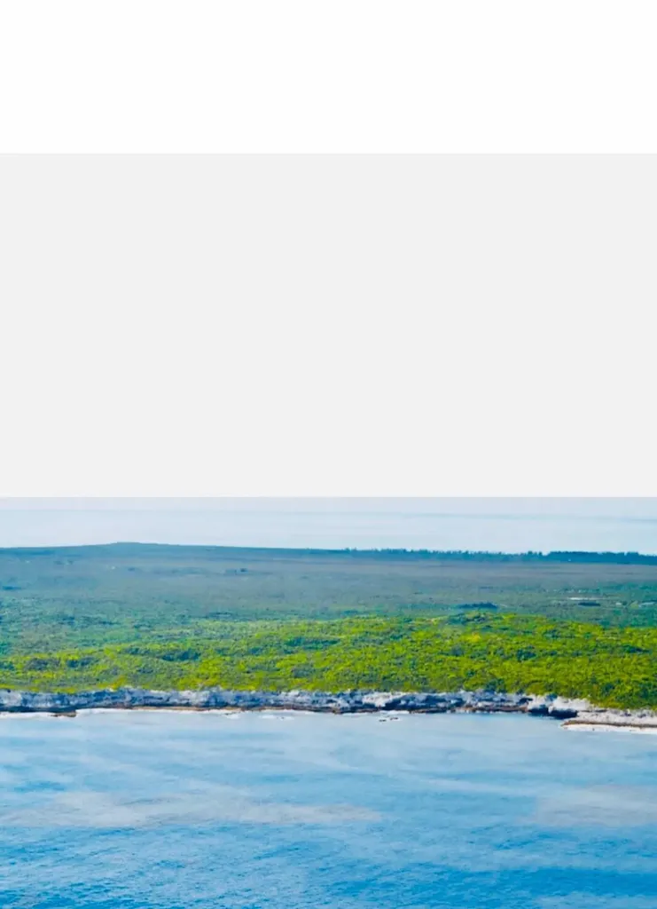 Docker's Creek, Simms Long Island BS