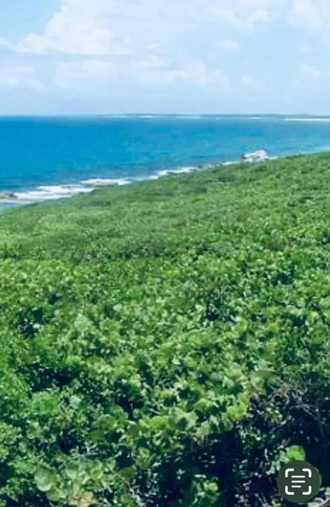 Docker's Creek, Simms Long Island BS