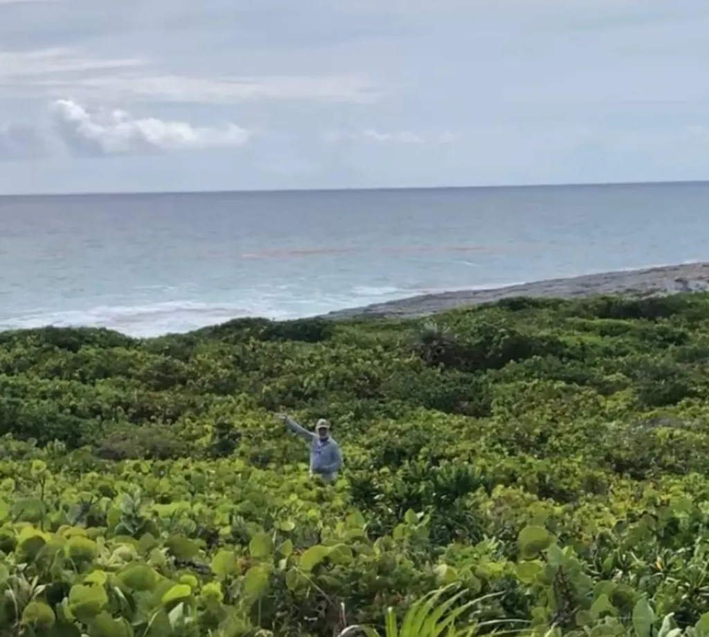 Docker's Creek, Simms Long Island BS