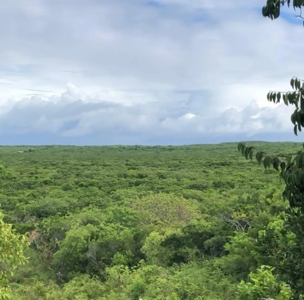 Docker's Creek, Simms Long Island BS
