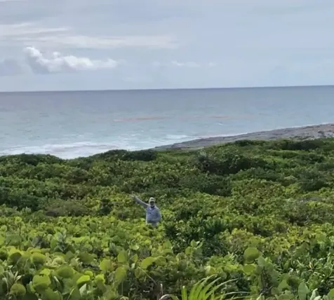 Docker's Creek, Simms Long Island BS