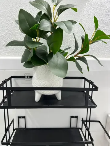 Dodge Road New Providence Paradise Island BS