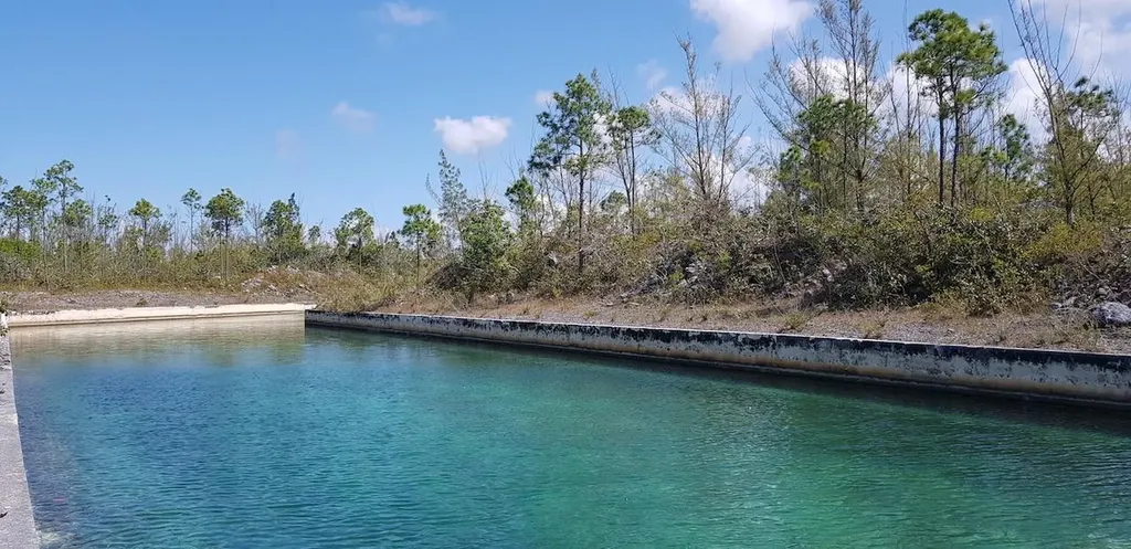 Heybridge Close Grand Bahama Freeport BS