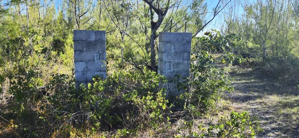 Heybridge Close Grand Bahama Freeport BS