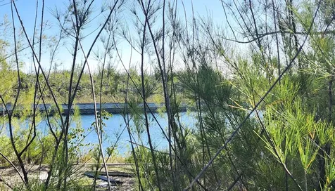 Heybridge Close Grand Bahama Freeport BS