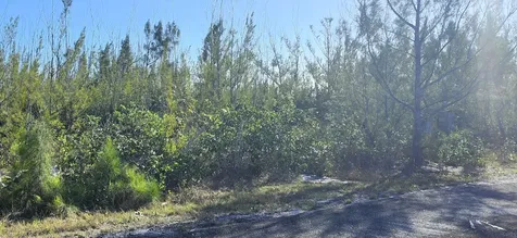 Heybridge Close Grand Bahama Freeport BS