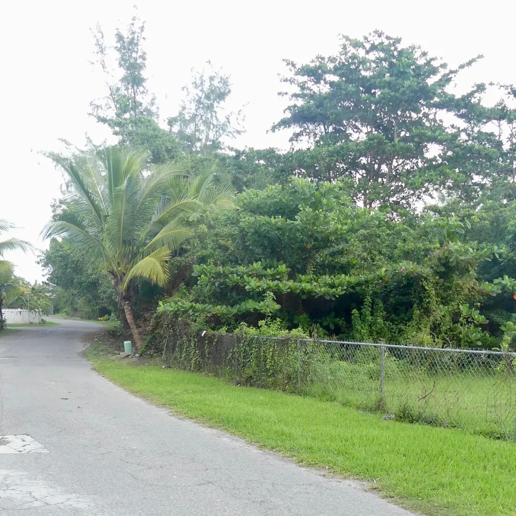 Vista Marina, The Grove New Providence Paradise Island BS