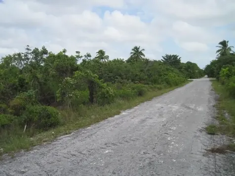 Pinehurst, Bahama Palm Sh Abaco BS