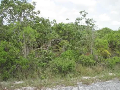 Pinehurst, Bahama Palm Sh Abaco BS