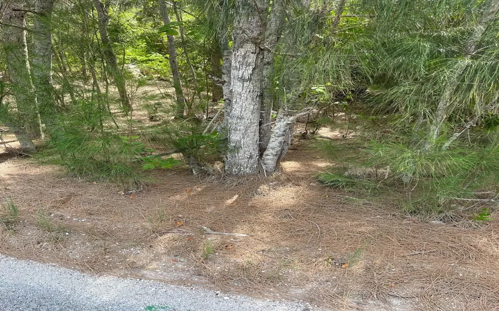 Lot A2, Bunches Long Island BS