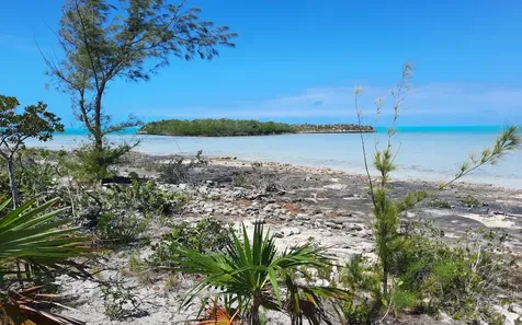 Lot A2, Bunches Long Island BS