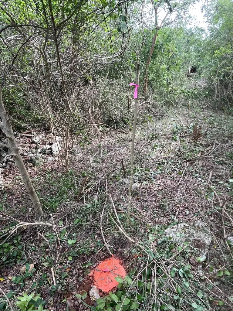 North Side Eleuthera High 3c Eleuthera BS