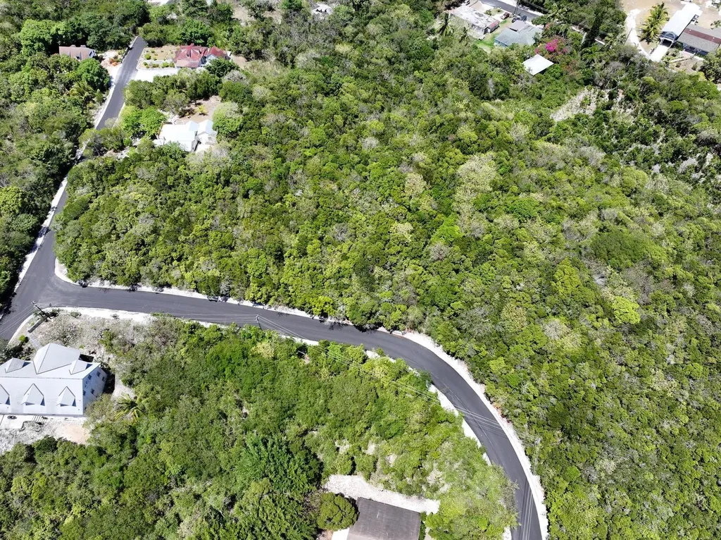 South Palmetto Point Eleuthera BS