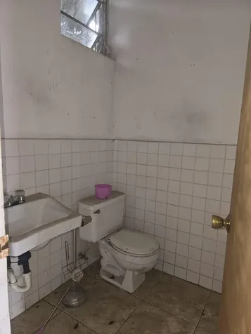 Collins Avenue South New Providence Paradise Island BS