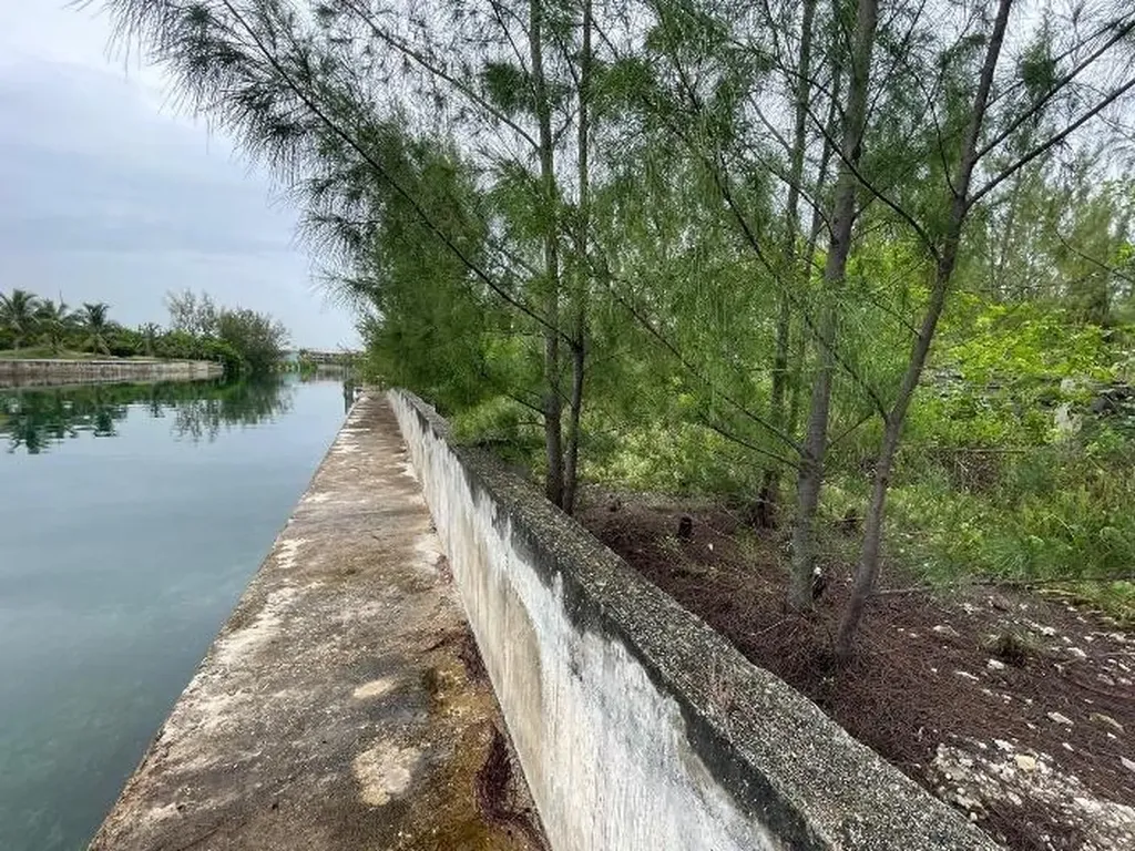 Port Of Call Drive Grand Bahama Freeport BS