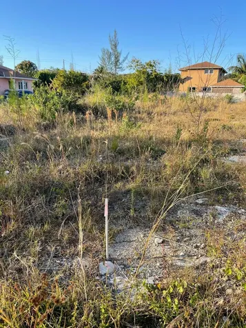 Tropical Gardens New Providence Paradise Island BS