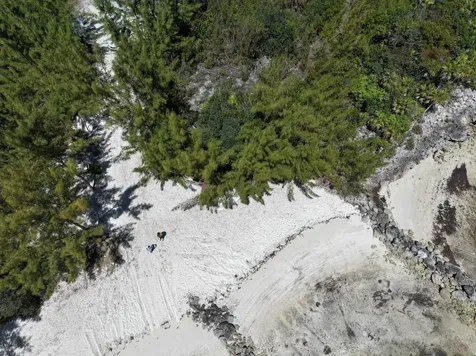 South Seas New Providence Paradise Island BS
