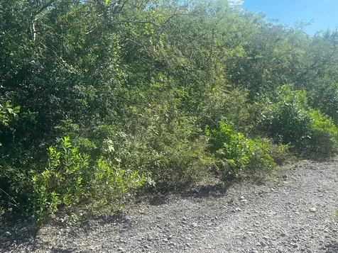 Sandalwood Road, Exuma BS